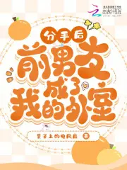 分手后前男友成了我的外室