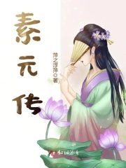 素元传
