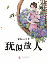 犹似故人