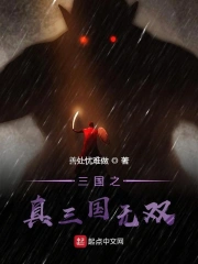 真三之无双宗师