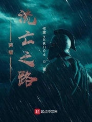 荣耀流亡之路