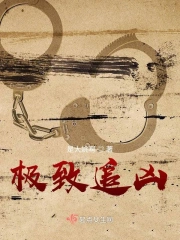 极致追凶
