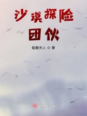 沙漠探险团伙