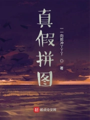 真假拼图