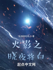 火影之晓夜将白