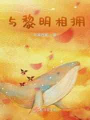与黎明相拥