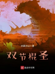 双节棍圣