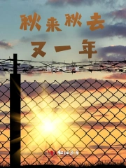 秋来秋去又一年