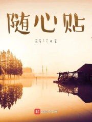 随心贴