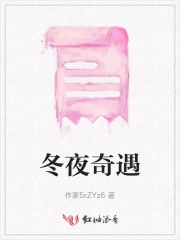 冬夜奇遇