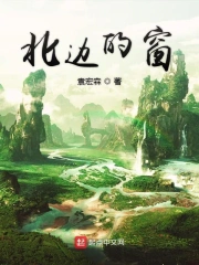 北边的窗