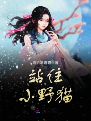 小野猫站住