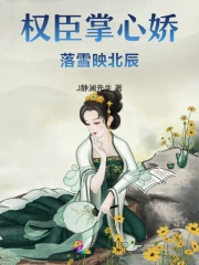 权臣掌心娇，落雪映北辰