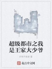 超级都市之我是王家大少爷