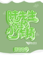 陆先生家的小作精