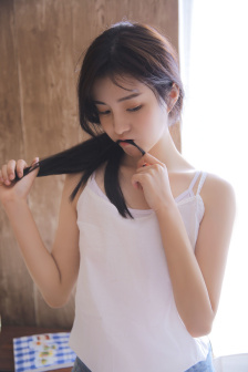 中华羽龙魂