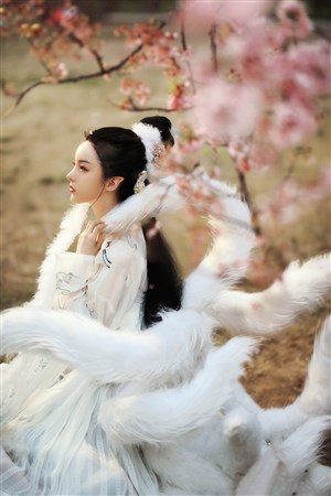 李寻欢新传