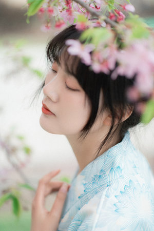 命运茶楼