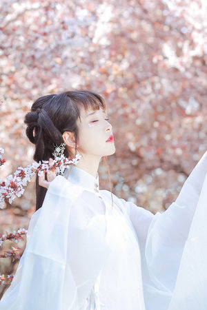 道门画师
