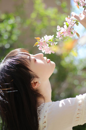 西游之开局我成了菩提老祖