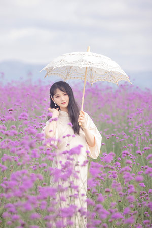 龙骑领主