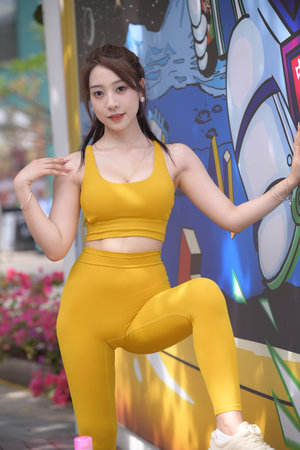 王者之有敌系统